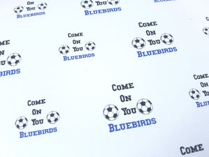 Come on You Bluebirds (Cardiff)