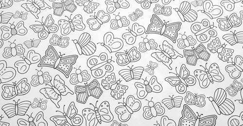 Colour in Butterflies