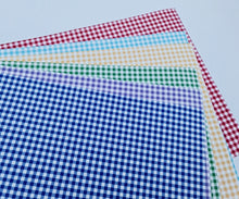 New Gingham Fabric (Larger Squares)